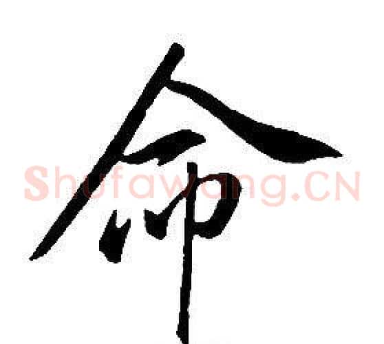 命