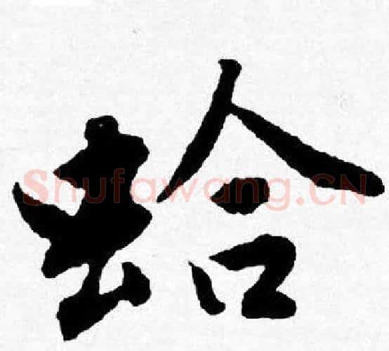 蛤