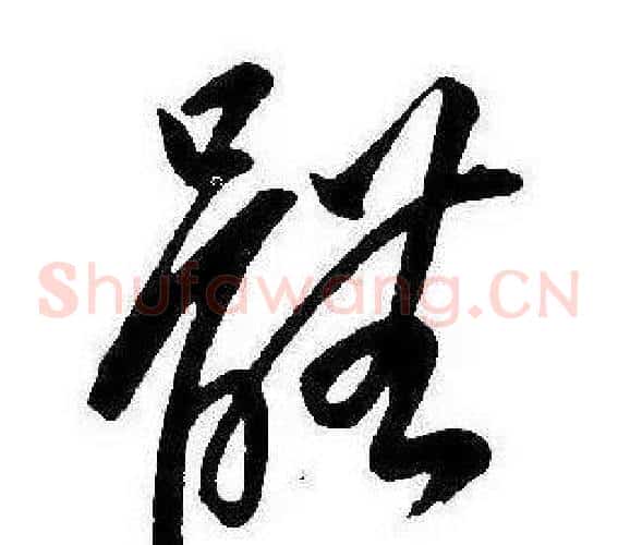 體