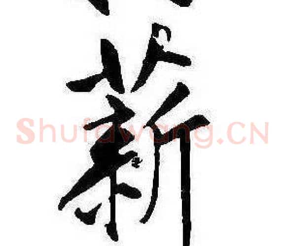 薪