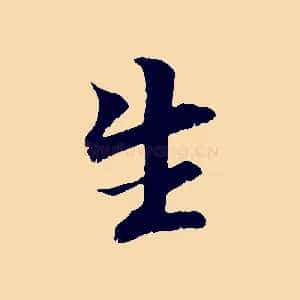 生