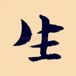生