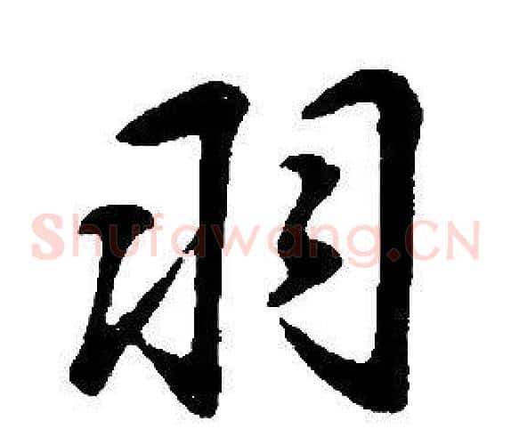 羽