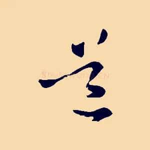 道
