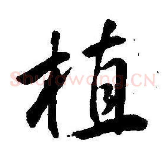 植