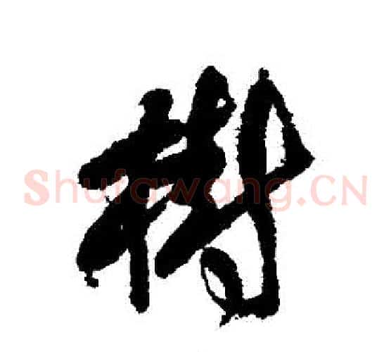 樹