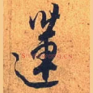 莲