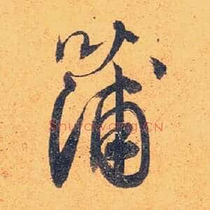 蒲