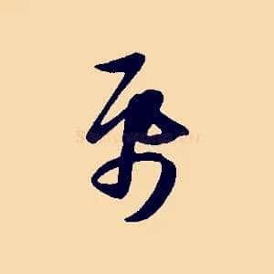 紙