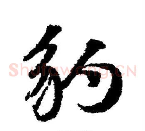 豹