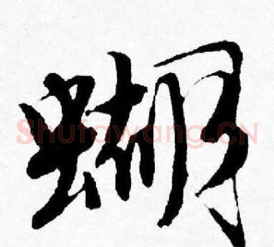 蝴
