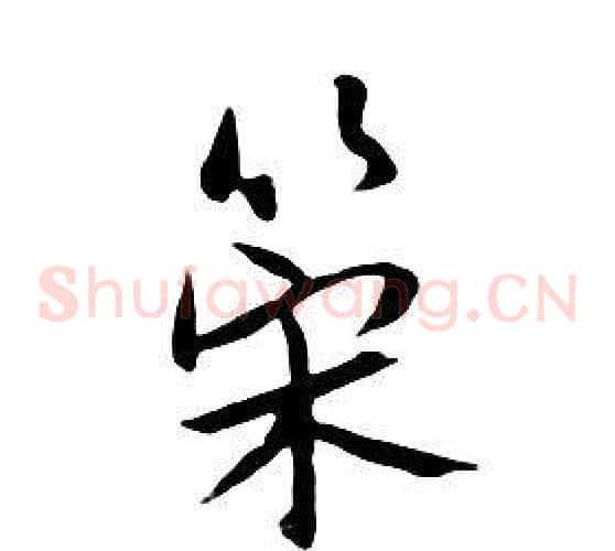 策