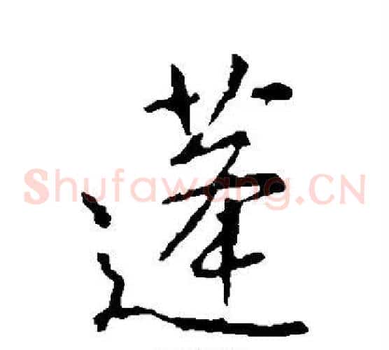 蓬