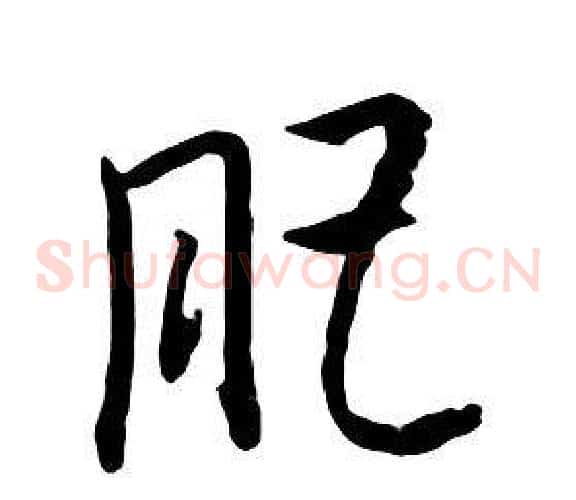 肥