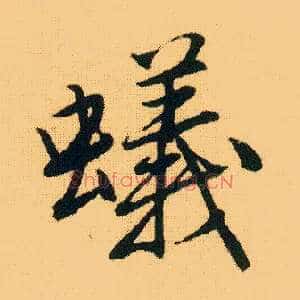 蚁