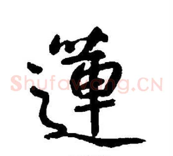 莲