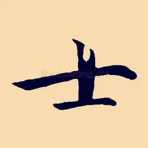 士