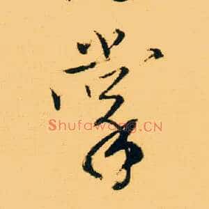 掌