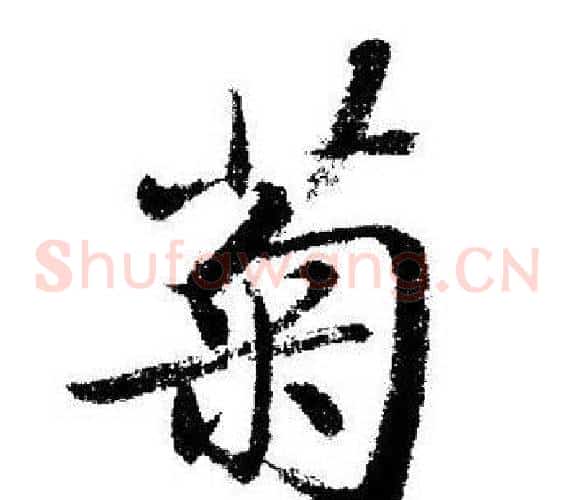 菊