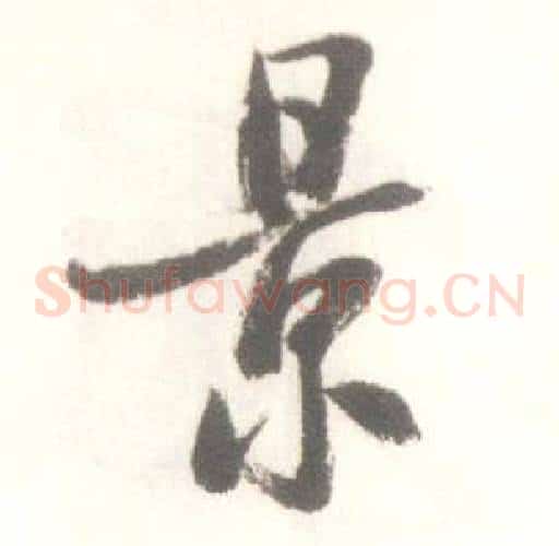 景