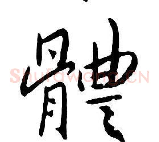 體
