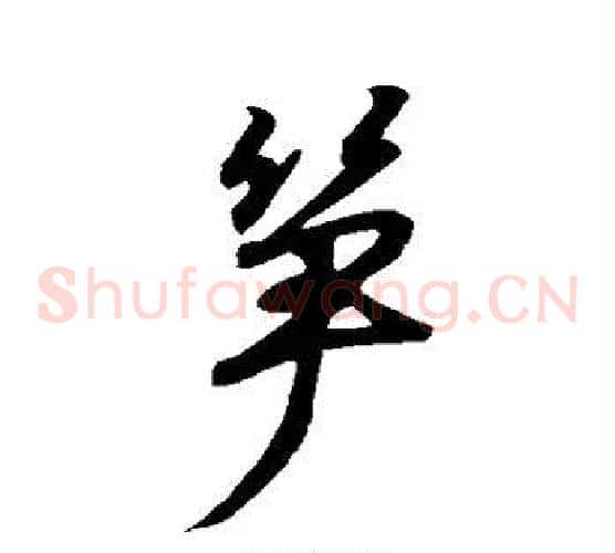 笋