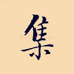 集