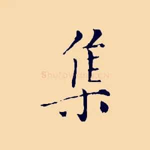 集