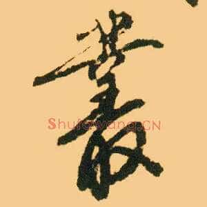 丛