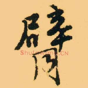 臂