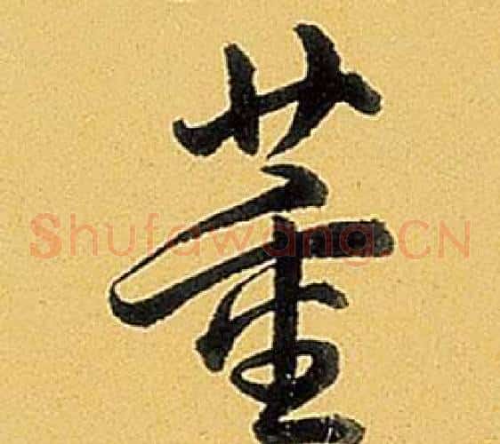 董