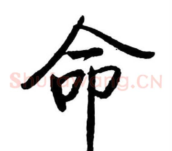命