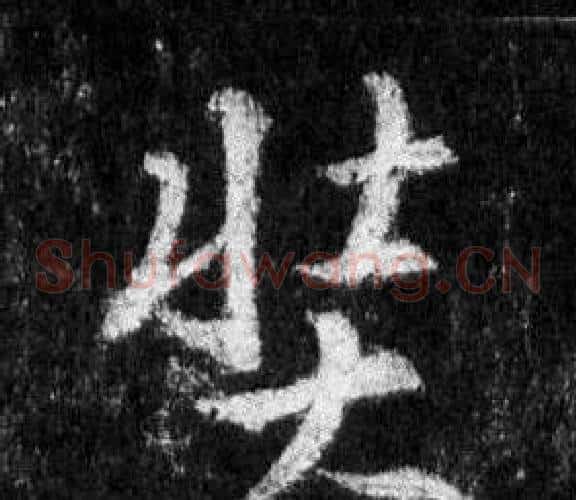 奘