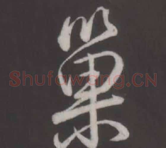 巢