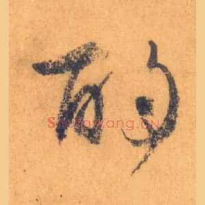 酌