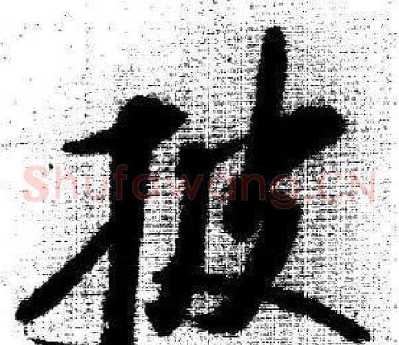披