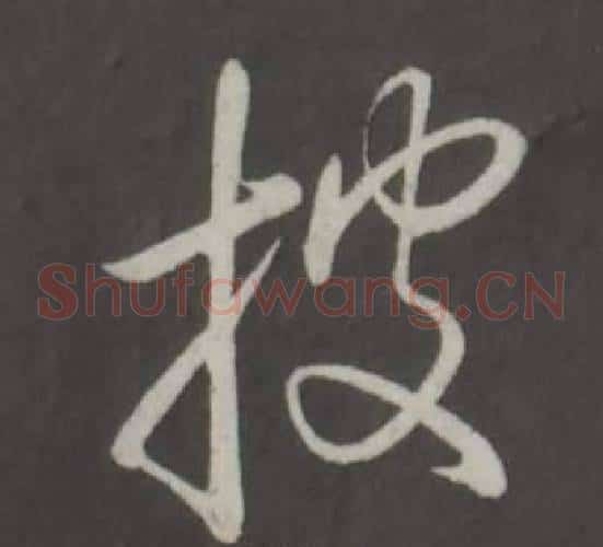披