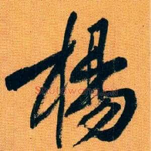 杨