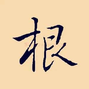 根