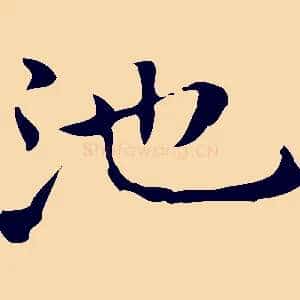 池