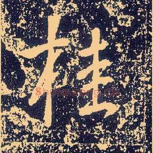桂