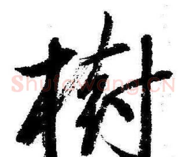 樹
