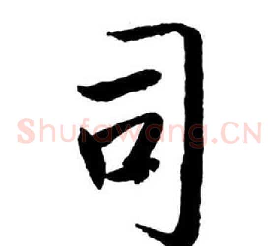 司