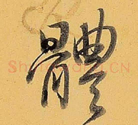 體