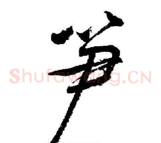 笋