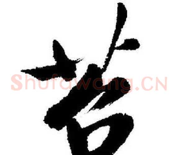 苔