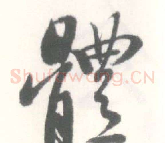 體