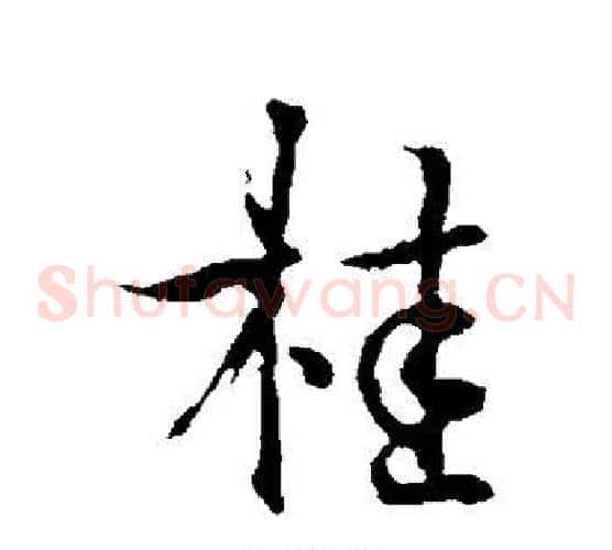 桂
