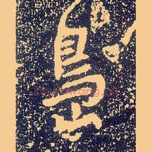 岛