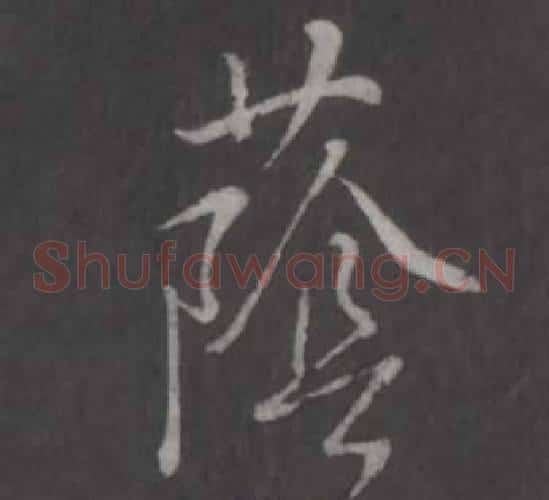 蔭